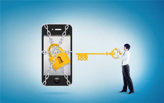 端点反恶意软件保护 网络与信息安全软件开发的关键要素